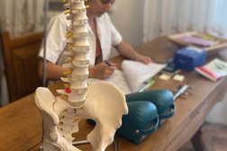 My Spine Design - Chiropratica